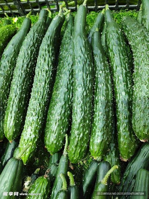 最新黄瓜爆料图片视频,高清图视频揭秘惊人真相